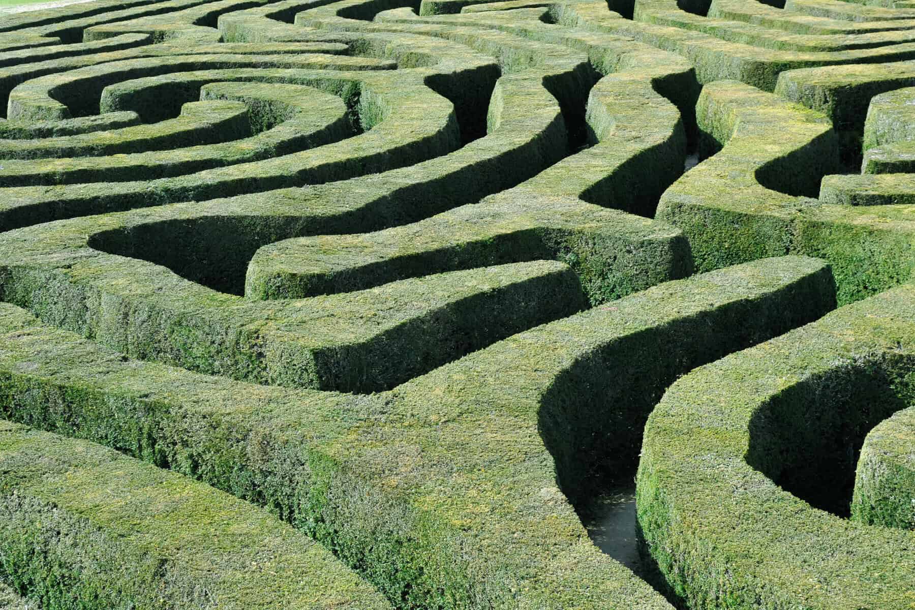 Next Gen 911: Navigating the Labyrinth of FCC Compliance